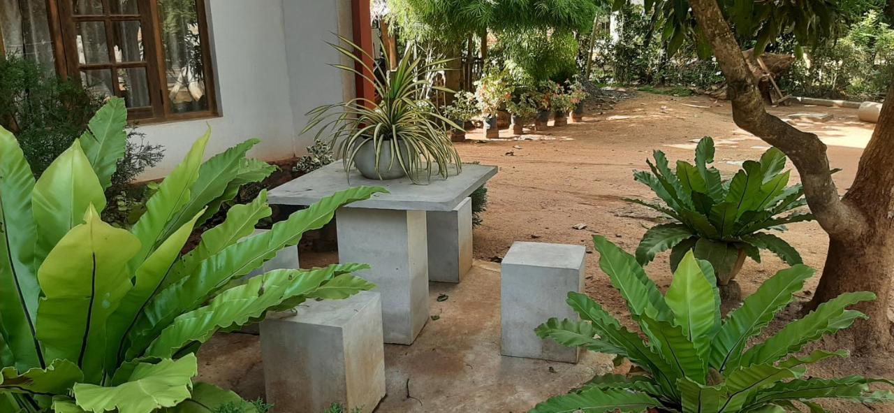 מלון אנוראדפורה Treasure House Tourist Rest מראה חיצוני תמונה
